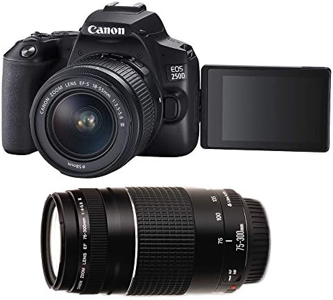 Canon EOS 250D 24 MP Essential Double Lens Camera Kit : Amazon.co